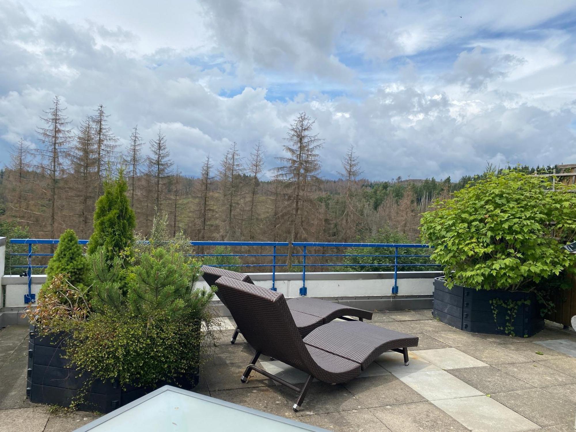 Ferienwohnung Harz #3, Pool, Sauna, WLAN Hohegeiß Exterior foto